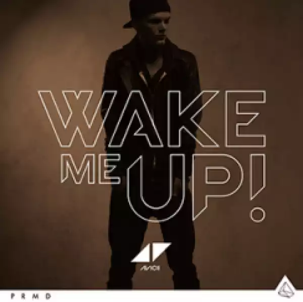 Avicii - Aloe Blacc Wake Me Up (Acoustic)